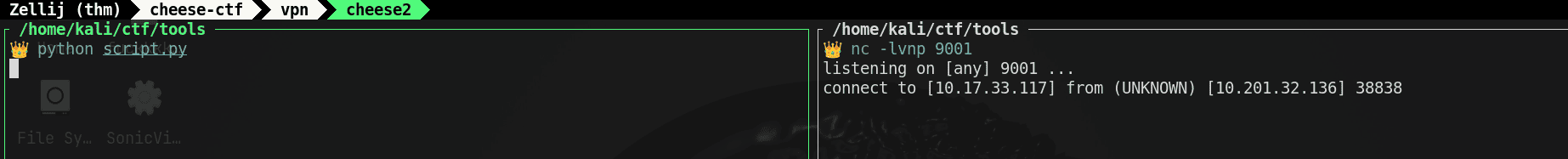 nc listener shell