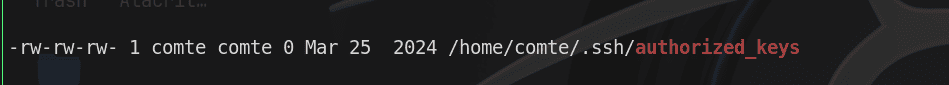 authorized_keys