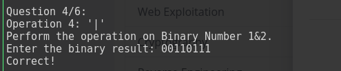 binhexa pico ctf solution binary or image