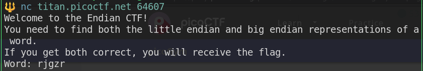 endianness picoctf image 1