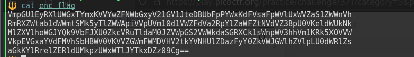 repetitions pico ctf solution image 1