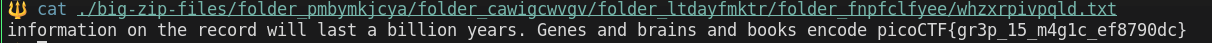 big zip pico ctf solution image 2