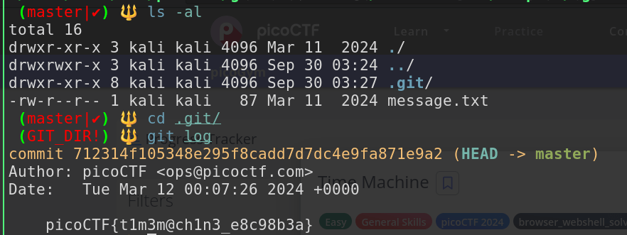 Time machine pico ctf solution image