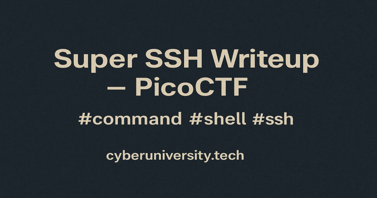 Super SSH Writeup - Pico CTF Challenge