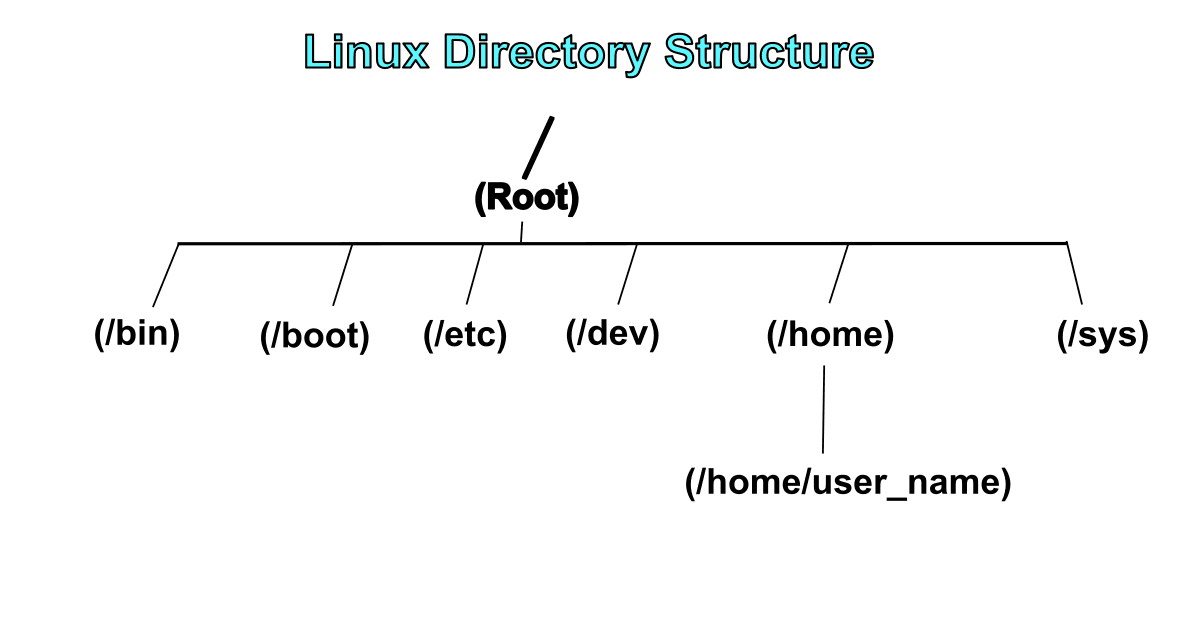 Guide to Linux Directory Structure - image